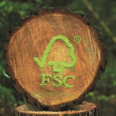 FSC Logo Wald