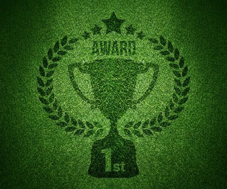 Grüner Pokal für den ersten internationalen Energiewende Award für grüne Startups