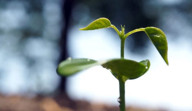 Grüne Geldanlagen und Investments Technewable