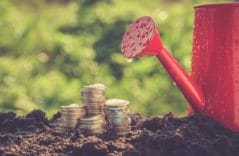 Geld fair anlegen – Welche Möglichkeiten gibt es?