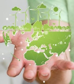 Fünf wirksame Lösungsansätze, um Klimaschutz im Businessalltag zu verankern