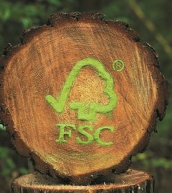 FSC-Freitag – Zeit für eine “Waldwende”