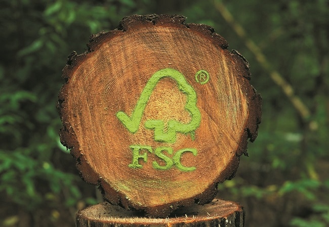 You are currently viewing FSC-Freitag – Zeit für eine „Waldwende“