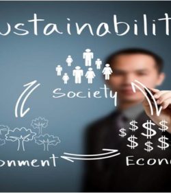 Nachhaltigkeit in Unternehmen und bei Gründungen