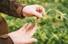 Boden als strategischer Hebel für die Landwirtschaft