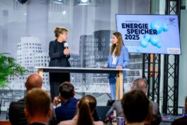 Über die zentrale Rolle von Energiespeichern