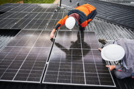 GreenTech scheitert nicht an Fachkräften, sondern an der Umsetzung