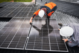 GreenTech scheitert nicht an Fachkräften, sondern an der Umsetzung