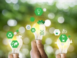 Einführungsworkshop: “Mit Nachhaltigkeit mehr Wert erzielen”    