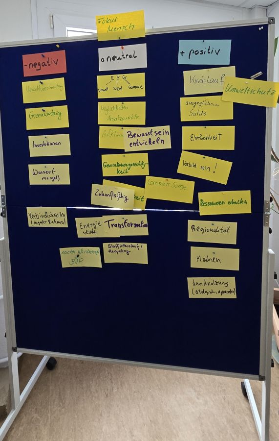 Begriffe zu Nachhaltigkeit auf Pinnwand