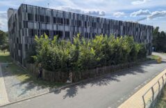 Tiny Forests: Kleine Wälder mit großer Wirkung – für Mensch und Natur