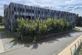 Tiny Forests: Kleine Wälder mit großer Wirkung – für Mensch und Natur