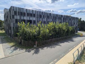 Tiny Forest Herford - Klinikum hinter Straße und vor dem Klinikum befindet sich ein Mini-Wald